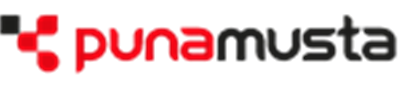 API EPI B2C